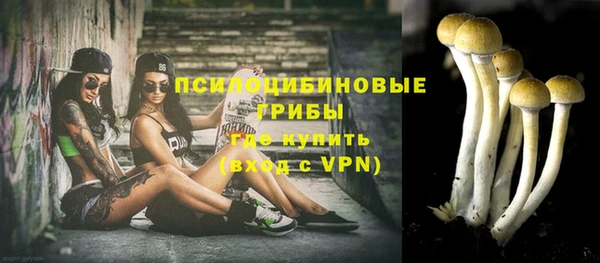 a pvp Бугульма